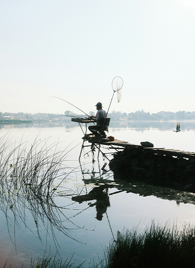 Fishery